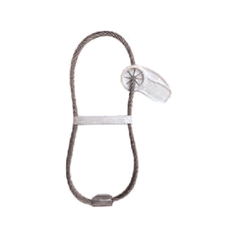 بازیگران WS04 در Lift Anchor